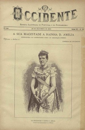 capa do A. 16, n.º 540 de 25/12/1893